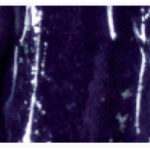 7e252036ddcde480cb3dde40cd92eab0.jpg