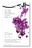 Ts1012021 16 Idye 1415 Violet Ts1012021 16 Idye 1415 Violet