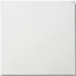 בד קנבס סיני מתוח