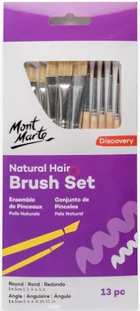 מכחולים סט 13 שטוחים